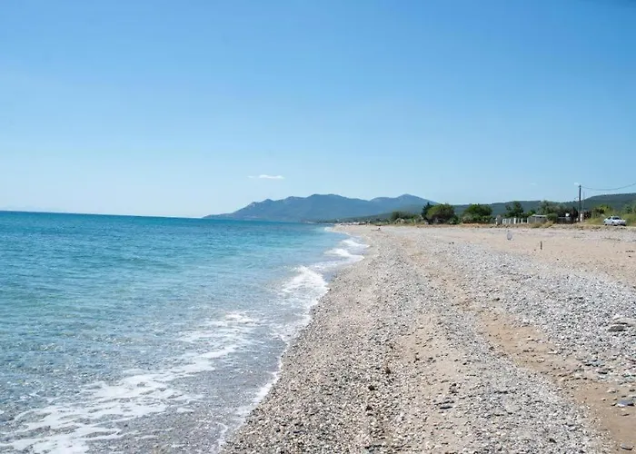 Apartment Walnuthouse