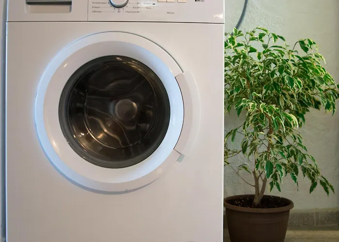 Apartment Walnuthouse *